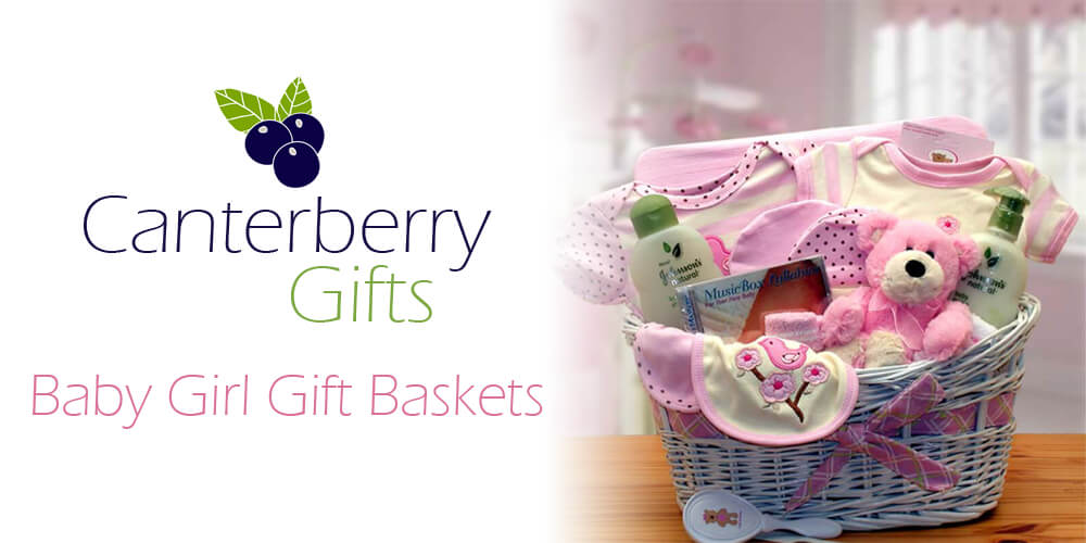 Newborn Girl Comfy Baby Gift Basket